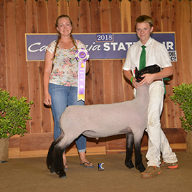 Image Club Lambs Winners