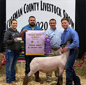 Image Club Lambs Winners